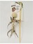 Luxury Nature First Cat Toy - Ipli Doğal Kedi Oyuncağı 35.5x9.5cm 1 Adet 3