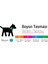 Luxury Weecol Cube Collar Köpek Boyun Tasması L Boynu 40-65CM Köpeklere 1 Adet 3