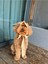 Luxury Köpek Şapkası 1 Adet 3