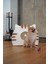 Luxury Elegant Kedi-Köpek Evi, 44X50X34CM, Sevimli Dostlarınıza Konforlu Bir Yuva 1 Adet 3