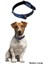 Luxury Buffer® Yumuşak Dokulu Deri Köpek Gezdirme Boyun Tasması (Large) 1 Adet 3