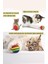 Luxury 3lü Gökkuşağı Sünger Kedi Köpek Çiğneme Oyun Topu 4,2 cm Diş Çıkarma Oyuncağı 1 Adet 3