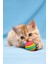 Luxury 3lü Gökkuşağı Sünger Kedi Köpek Çiğneme Oyun Topu 4,2 cm Diş Çıkarma Oyuncağı 1 Adet 4