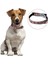 Luxury Buffer® Yumuşak Dokulu Deri Köpek Gezdirme Boyun Tasması Medium 1 Adet 1