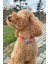 Luxury Kırmızı Ip Halat Kedi Köpek Kolyesi Charm Uçlu Gümüş Rengi 1 Adet 2