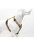 Luxury Rainbow H-Tipi Göğüs Tasması Ayarlanabilir, Konforlu ve Dayanıklı Desenli Köpek Tasması 1 Adet 1