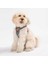 Luxury Dino Air-Mesh Göğüs Tasması Kedi Köpek Göğüs Tasması 1 Adet 1