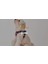 Luxury Dino Air-Mesh Göğüs Tasması Kedi Köpek Göğüs Tasması 1 Adet 2