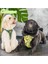 Luxury Amazon 2li Air-Mesh Köpek Göğüs Tasması Kedi Göğüs Tasması Köpek Tasması 1 Adet 1