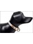 Luxury Dubex G-Dog Köpek Boyun Tasması Açık Gri Small 15 mm 19-30 cm 1 Adet 1