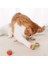 Luxury Renkli Sünger Kedi Köpek Çiğneme Oyun Topu, Diş Çıkarma, Kedi Oyuncağı 3 Adet 1 Adet 2