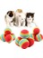 Luxury Renkli Sünger Kedi Köpek Çiğneme Oyun Topu, Diş Çıkarma, Kedi Oyuncağı 3 Adet 1 Adet 5