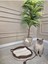 Luxury Dekoratif Lüks Kedi Yatağı Yıkanabilir Yumuşak Kedi Yastığı Oyuncak kuyruk 1 Adet 1