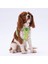 Luxury Avocado Air-Mesh Göğüs Tasması Kedi Köpek Göğüs Tasması 1 Adet 1