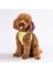 Luxury Avocado Air-Mesh Göğüs Tasması Kedi Köpek Göğüs Tasması 1 Adet 4