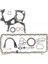 Reınz 8-37313-1 Alt Takım Conta Bmw M57 E38 E39 E46 1