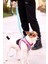 Luxury Köpek Göğüs Tasma Seti Ayarlanabilir Gezdirme Kayışı Eller Serbest Kalp Desenli 1 Adet 4