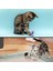 Luxury Yaylı Metal Fareli Kafes Kedi Oyun Topu Sıçrayan Spiral Kedi Topu (5064) 1 Adet 2