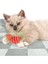 Luxury Yaylı Metal Fareli Kafes Kedi Oyun Topu Sıçrayan Spiral Kedi Topu (5064) 1 Adet 4