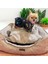 Luxury Aden Pet Peluşkale Kedi & Köpek Yatağı 1 Adet 1