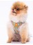 Luxury Pizza Air-Mesh Göğüs Tasması Kedi Köpek Göğüs Tasması 1 Adet 1