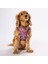 Hearts Air-Mesh Köpek Göğüs Tasması 5