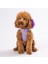 Ice Cream Air-Mesh Göğüs Tasması Kedi Köpek Göğüs Tasması 4