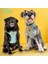 Pisa 2li Air-Mesh Köpek Göğüs Tasması Kedi Göğüs Tasması Köpek Tasması 1
