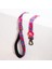 Hearts Leash Kedi Köpek Sevk & Gezdirme Kayışı Köpek Uzatma Tasması 2