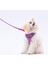 Hearts Leash Kedi Köpek Sevk & Gezdirme Kayışı Köpek Uzatma Tasması 3