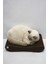 Luxury Kedi Tırmalama Kanepesi – Karton Tırmalama – Yatay Tırmalama - Small (43X24X8,5 Cm) - Kahverengi 1 Adet 1