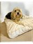 Luxury Stripe Ecru Kedi Köpek Minderi 65 x 65 cm 1 Adet 1
