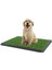 Luxury Yavru Köpek Tuvalet Eğitim Parkı 3 Katmanlı - 45CM x 32 cm 1 Adet 1