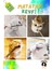 Luxury 10'lu Set: 4 Adet Matatabi Çubuk + Sarma Topu+3'lü Renkli Top+ Kedi Oltası+Çıngıraklı Top 1 Adet 3