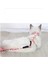 Luxury Kedi Gezdirme Göğüs Tasması 1 Adet 3