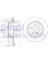 Delphı BG3757 Fren Diski Takım Mercedes E200 E200CGI E220 E240 E270 E320 04/02- Arka 1