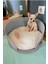Luxury Puki Kedi Yatağı Gri Peluş Minderli Evcil Hayvan Kedi Minderi Kedi Yuvası Evi Kulübesi 1 Adet 3