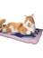 Luxury Kedi & Köpek Battaniyesi-Yatağı 1 Adet 2
