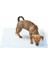 Luxury Yıkanabilir Köpek Çiş Pedi - 90 x 60 cm 1 Adet 4