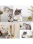 Luxury Kedi Nanesi Oyun Topu 1 Adet 2