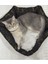Luxury Kedi Yatağı 1 Adet 5