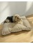 Luxury Mykolt Pouch Kedi Köpek Minderi 80 x 70 cm 1 Adet 2