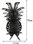 Creatives Metal Ananas Süsleri Ev Dekoru Sarı (Yurt Dışından) 3