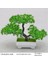 Adet Yapay Bitki Bonsai Plastik Küçük Ağaç Saksı, Kırmızı (Yurt Dışından) 3
