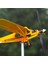 Thyggzjbs Piper J3 Cub Uçak Rüzgar Gülü, Metal Yel Değirmeni B (Yurt Dışından) 5
