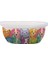 Petjoy Feedme Bowl Seramik Mama Kabı Mix Color 300 ml 3