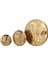 Agakulche Amenhotep Nefertiti 1/4 Ons Altın Sikke Coin 4