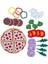 Montessori Pizza Bulmaca Oyuncakları Simüle Gıda Oyuncak Oyun Oyun Pizza Keçe Mutfak Oyunu 3+Renkli Çocuklar ve Çocuklar Için Set: Plato Yok (Yurt Dışından) 1