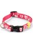 Köpek Tasması, Pembe, 26-40CM, 15MM Nrmsa 1