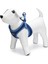 Köpek Göğüs Tasması, Neopren, Mavi, Xs, 30-35CM Nrmsa 1